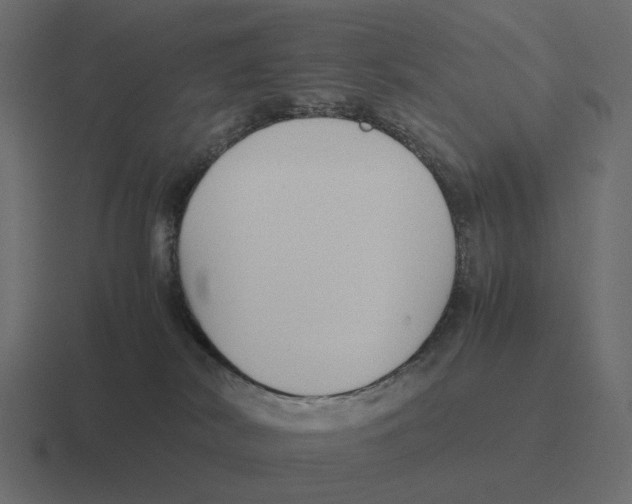 X0000116350038200912291640