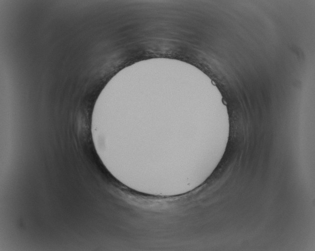 X0000116350040200912291640