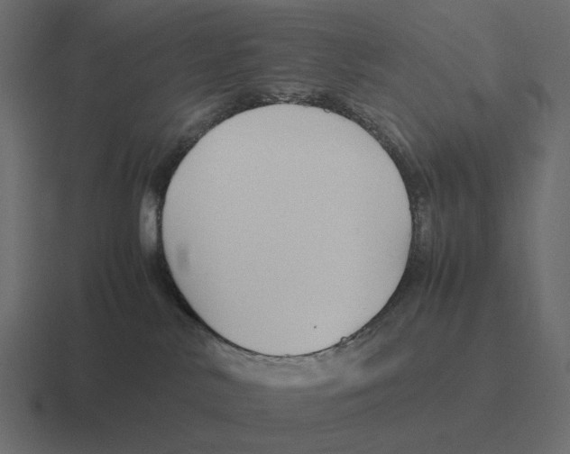 X0000116350042200912291640