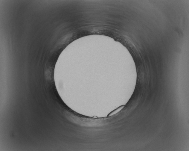 X0000116350044200912291640