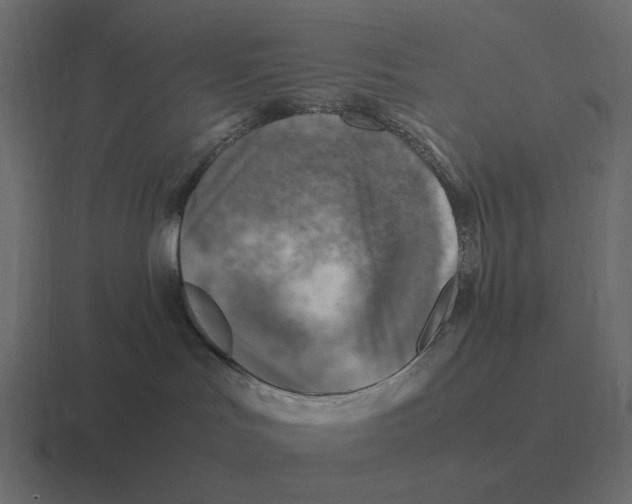 X0000116350047200912291640