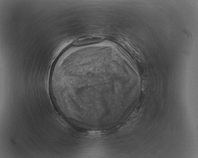 X0000116350052200912291639