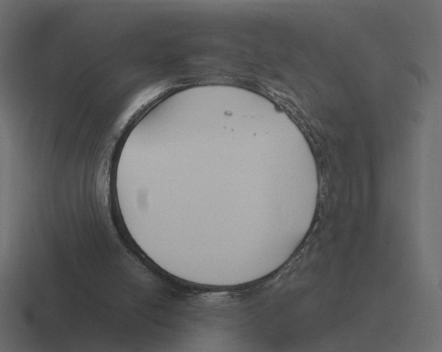 X0000116350054200912291639