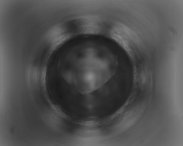 X0000116350058200912291639
