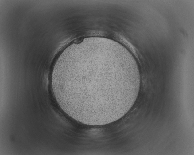 X0000116350059200912291639
