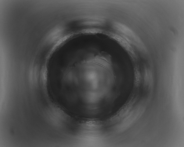 X0000116350064200912291639