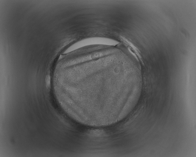 X0000116350067200912291639
