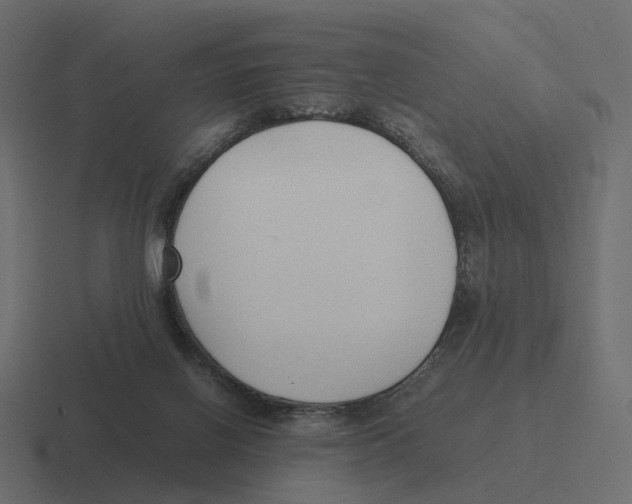 X0000116350070200912291639