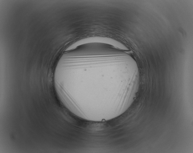 X0000116350081200912291640