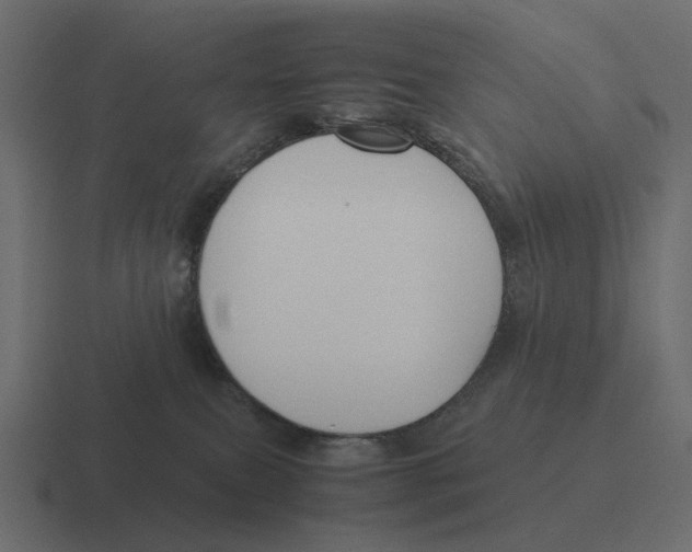 X0000116350087200912291640