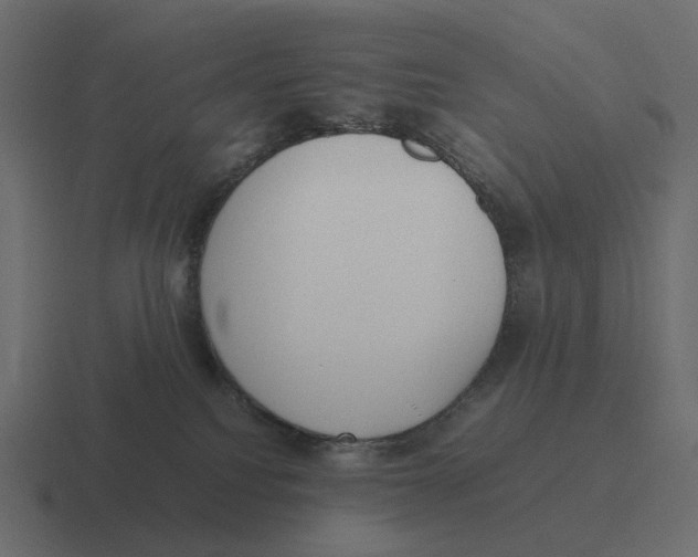 X0000116350088200912291640