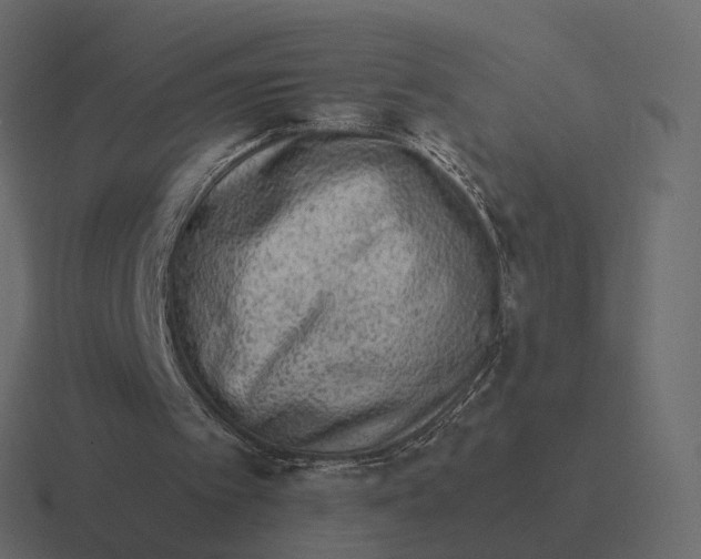 X0000116350097200912291639