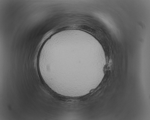 X0000116350099200912291639