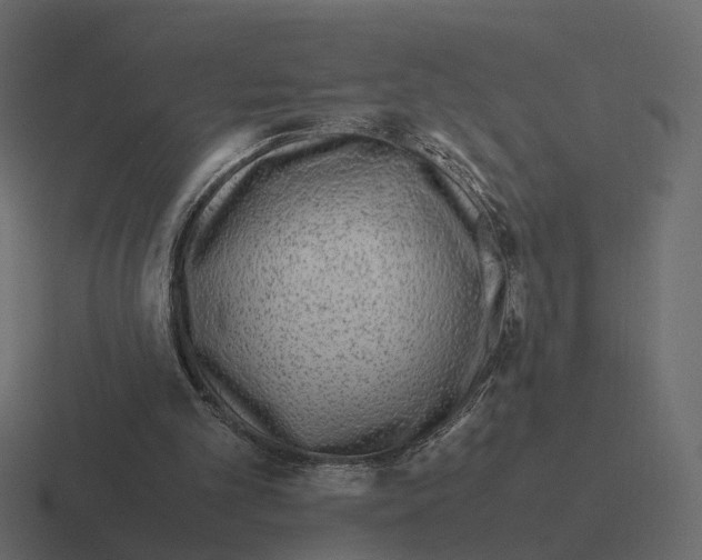 X0000116350101200912291639