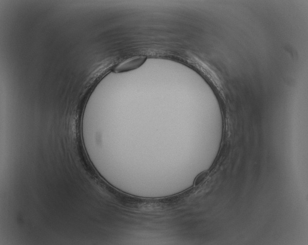 X0000116350105200912291639
