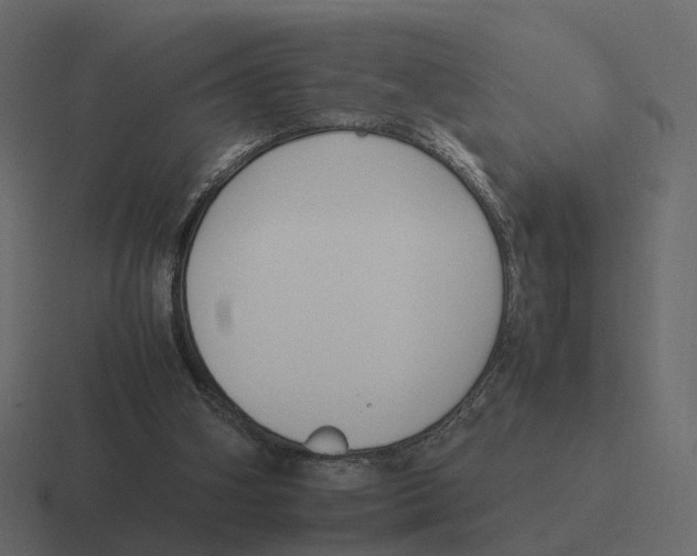 X0000116350106200912291639