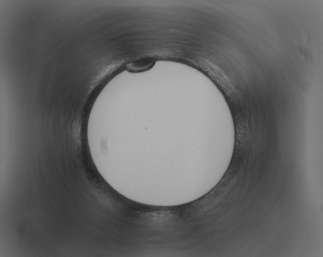 X0000116350112200912291639