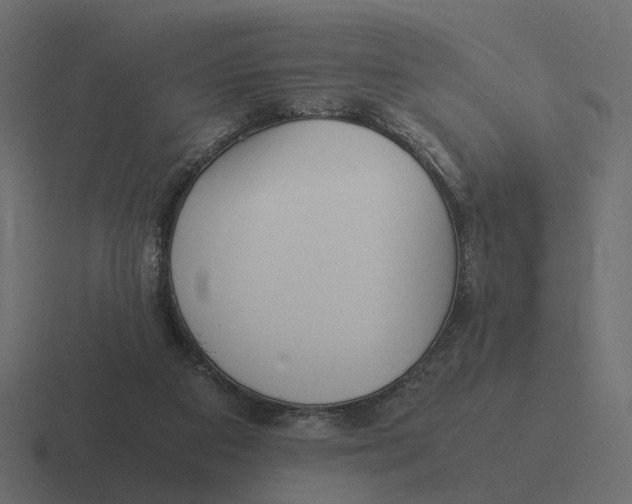 X0000116350113200912291639