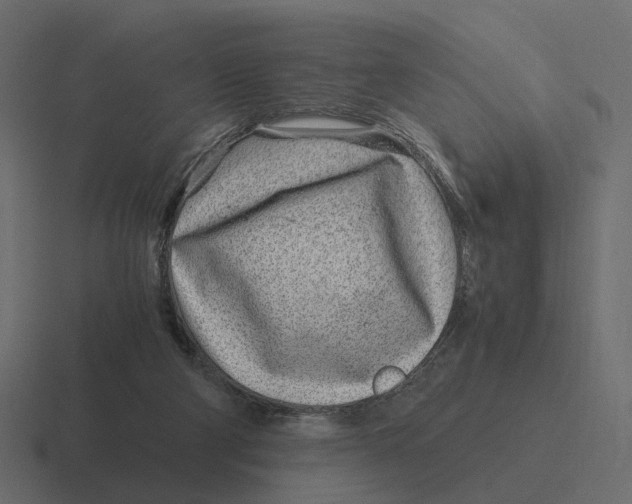 X0000116350114200912291639