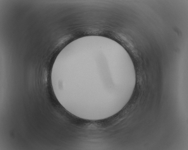 X0000116350115200912291639