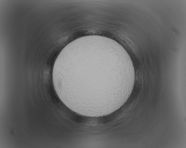 X0000116350127200912291639