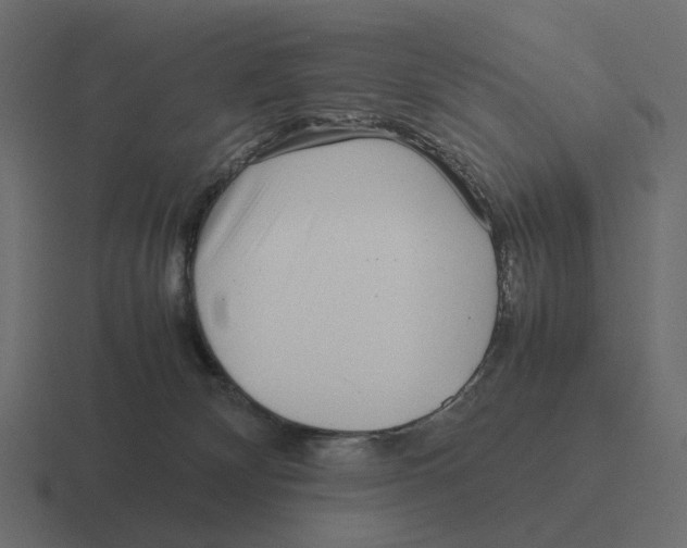 X0000116350132200912291639