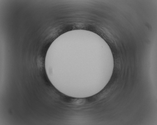 X0000116350135200912291639
