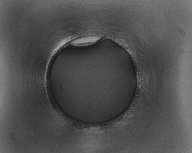 X0000116350196200912291638