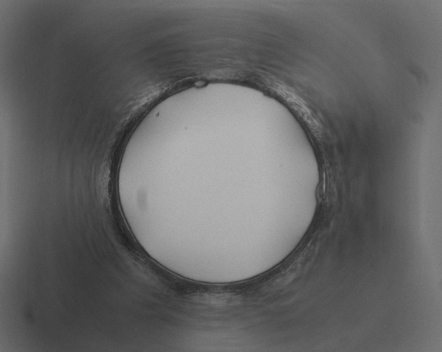 X0000116350201200912291638