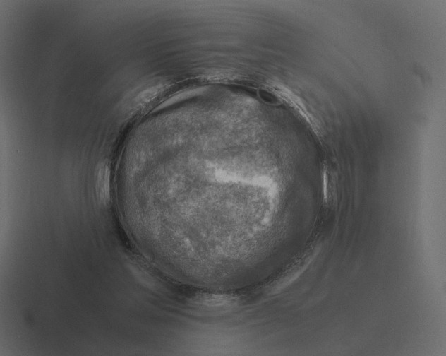 X0000116350205200912291638