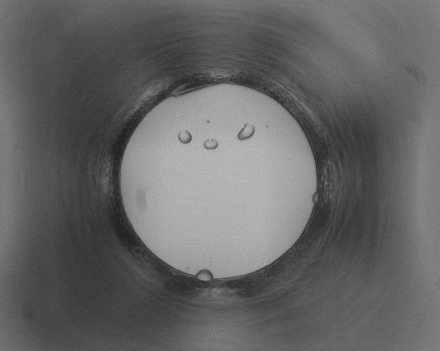 X0000116350212200912291638