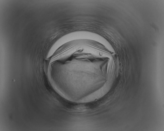 X0000116350219200912291638
