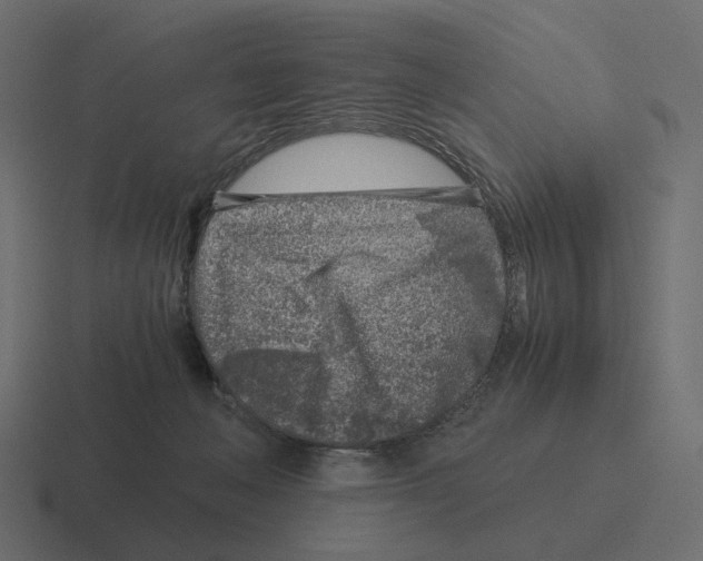 X0000116350222200912291638