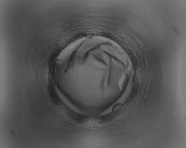 X0000116350223200912291638
