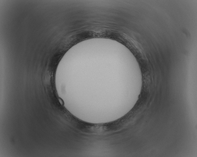 X0000116350225200912291638