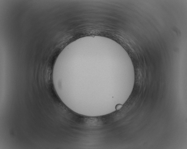 X0000116350230200912291638