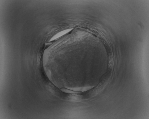 X0000116350231200912291637