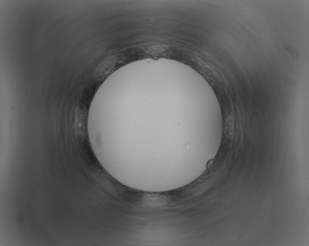 X0000116350234200912291637