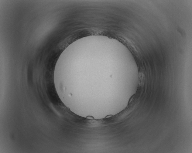 X0000116350238200912291637