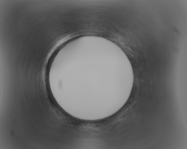 X0000116350244200912291637