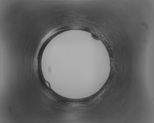 X0000116350246200912291637