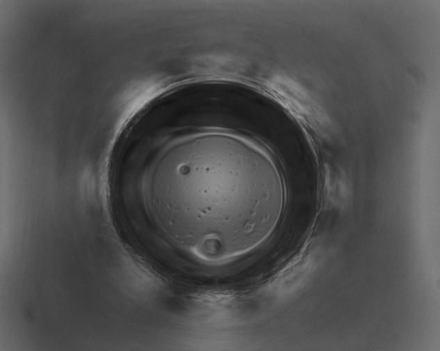 X0000116350248200912291637