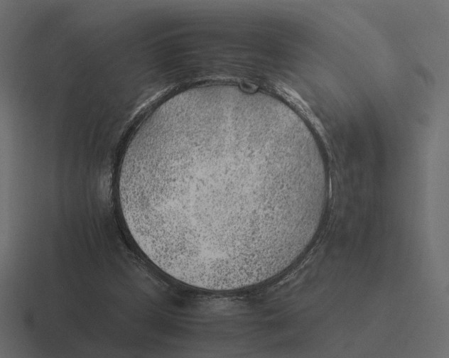 X0000116350249200912291637