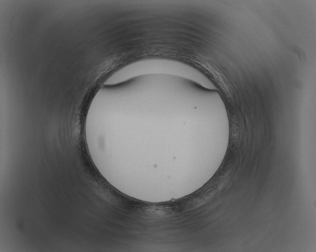 X0000116350261200912291637
