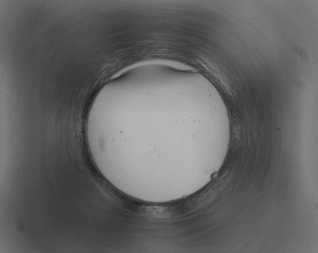 X0000116350265200912291637