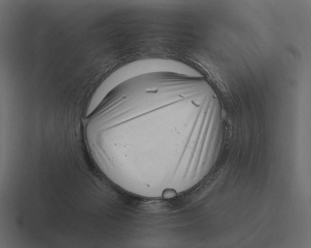X0000116350269200912291637