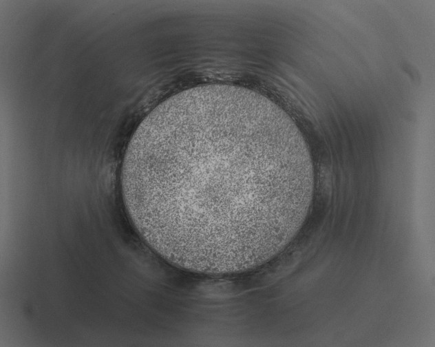 X0000116350271200912291637