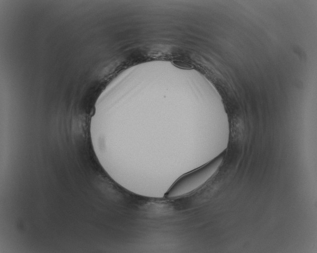 X0000116350280200912291637