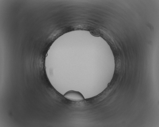 X0000116350282200912291637
