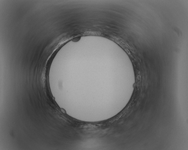 X0000116350290200912291637